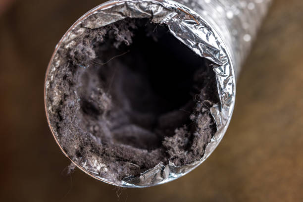 Air Duct Mold Removal in South Lockport, NY